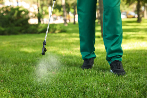 Best Residential Pest Control  in Luna Pier, MI