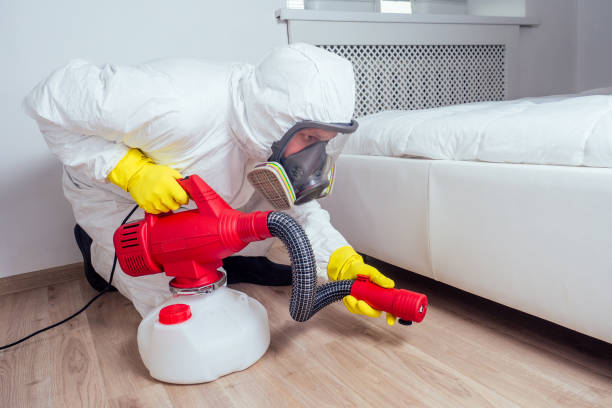 Professional Pest Control in Luna Pier, MI